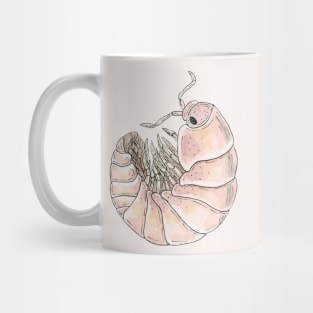 Cubaris murina "Papaya" Isopod Mug